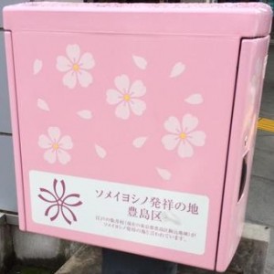 桜ポスト② (339x339)